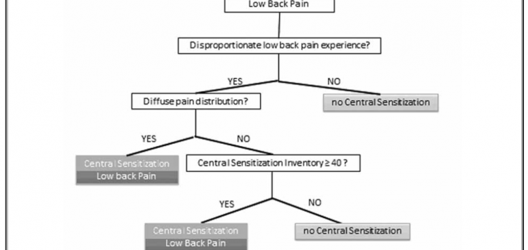 Guidelines for the Classification of Central Sensitization Pain
