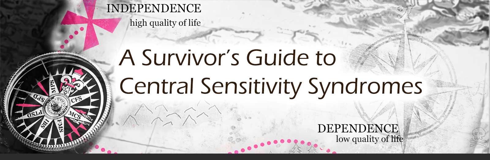 Central Sensitivity Syndrome | A Survivor's Guide