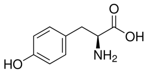 l-tyrosine